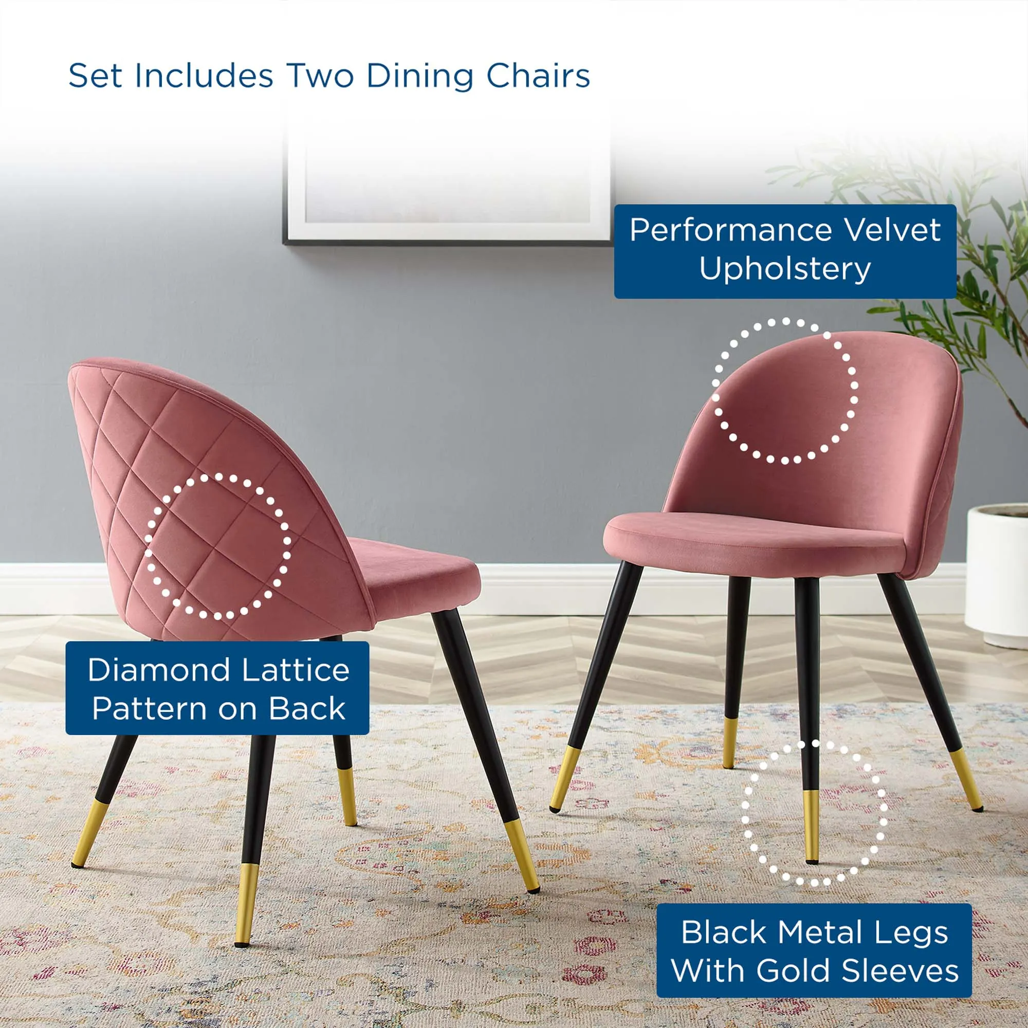 Cordial Performance Velvet Dining Chairs - Set of 2 by Modway