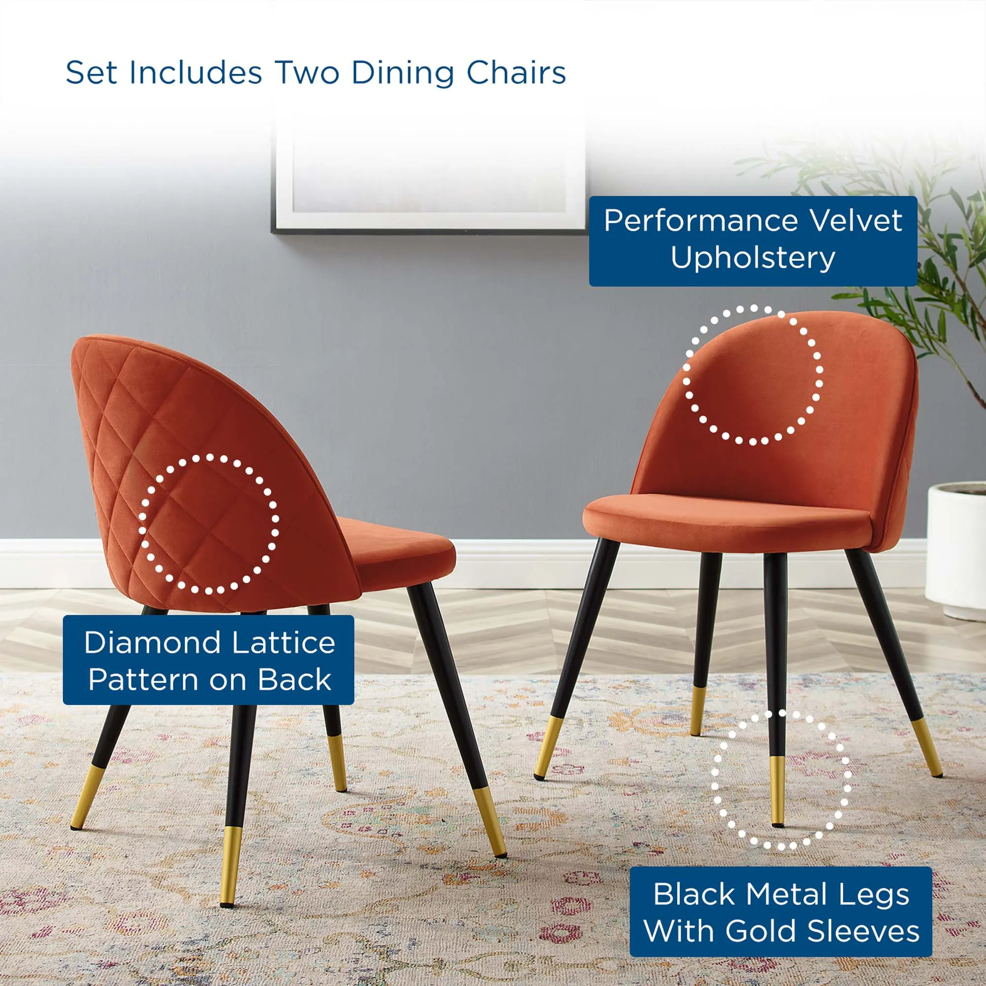 Cordial Performance Velvet Dining Chairs - Set of 2 by Modway