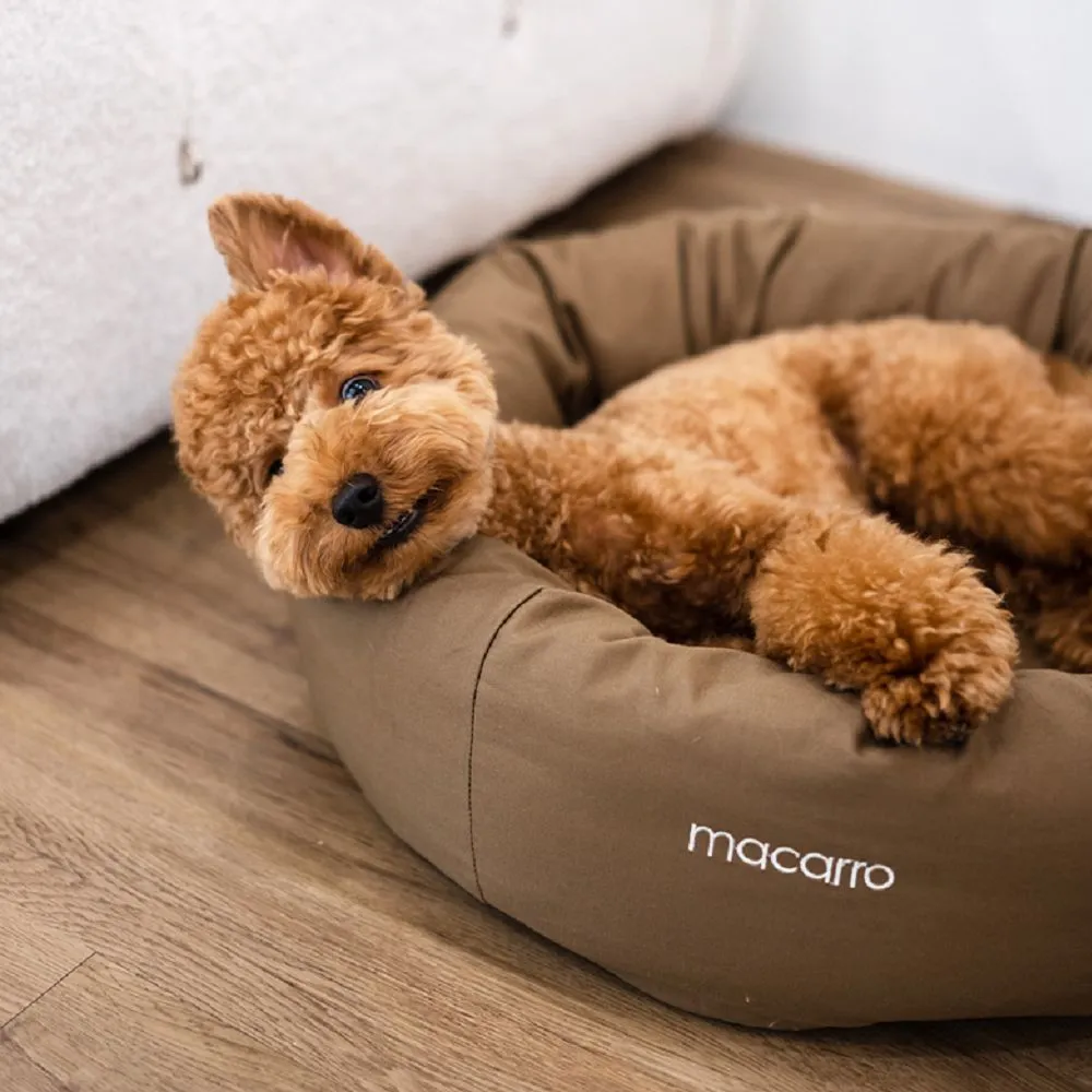 Donut Latex Bed for Pets