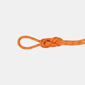 Mammut 8.0 Alpine Dry Rope