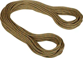 Mammut 9.9 Gym Workhorse Classic Rope – Durable, High-Performance Climbing Rope for Indoor Training