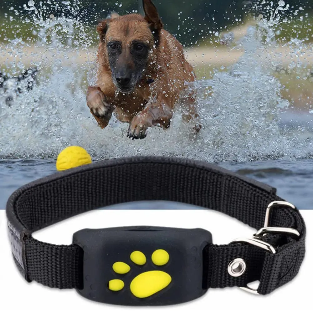 Pet GPS Tracker Collar