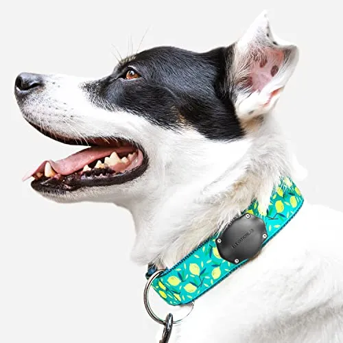 TagVault Pet: The Original AirTag Dog Collar Waterproof Mount