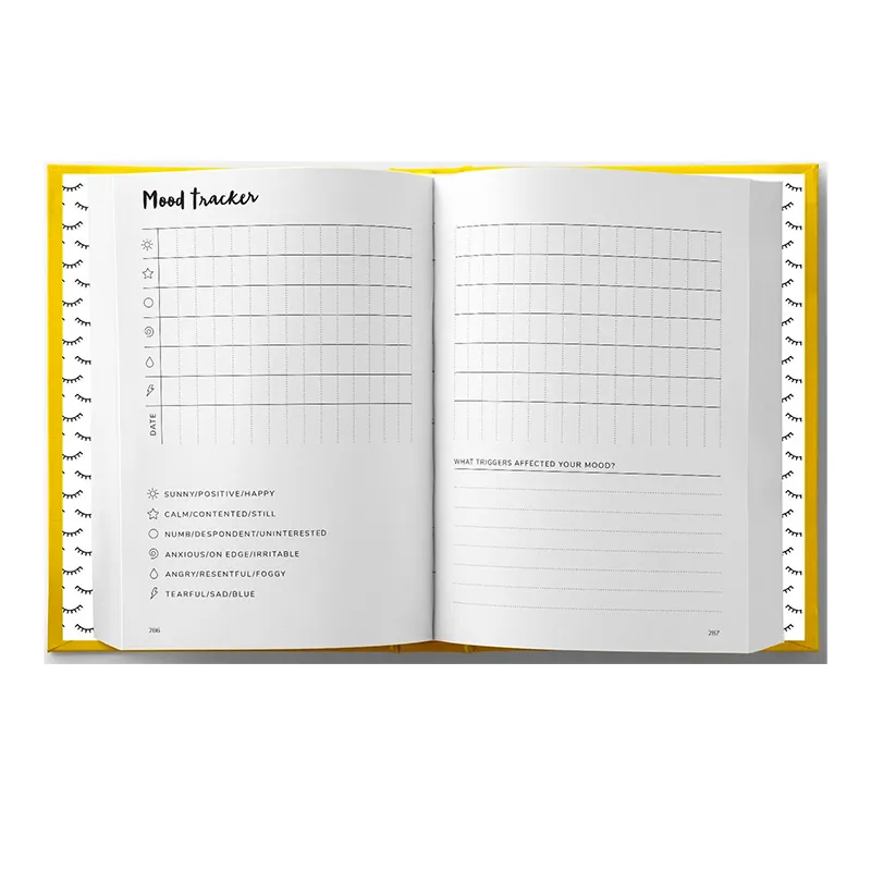 The Positive Planner